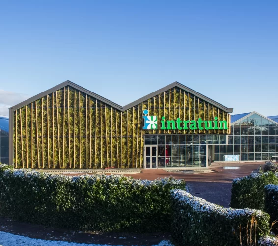 Afbeelding van de Intratuin in Heerhugowaard met sneeuw en een felblauwe lucht.